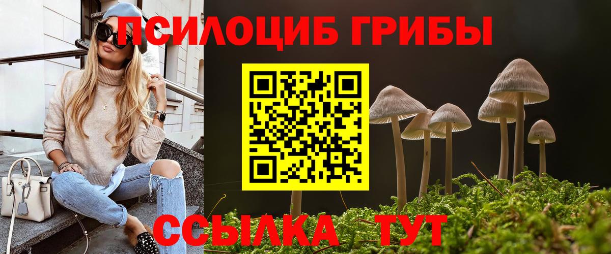 Кореновск  Галлюциногенные грибы Magic Shrooms  Галлюциногенные грибы GOLDEN TEACHER  Вход с VPN 
